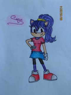 Customizable Sonic the Hedgehog Characters