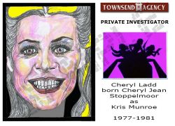 Townsend Agency-Private Investigator-Cheryl Ladd-IDENTIFICATION-Dec. 27, 2014