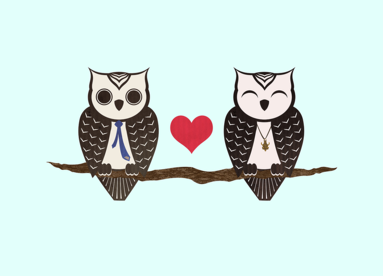 deancas owls