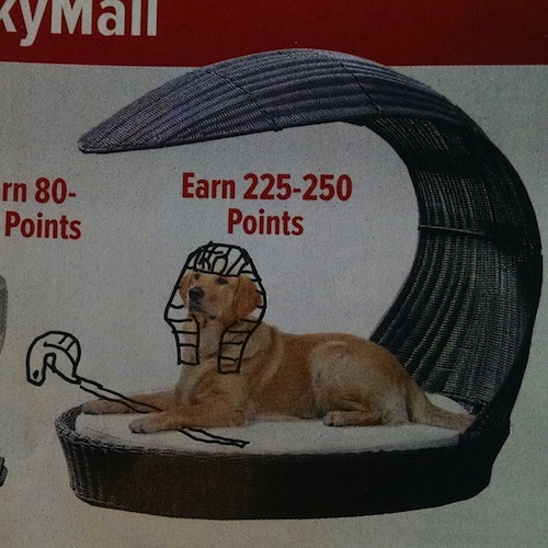 skymall doodles 1